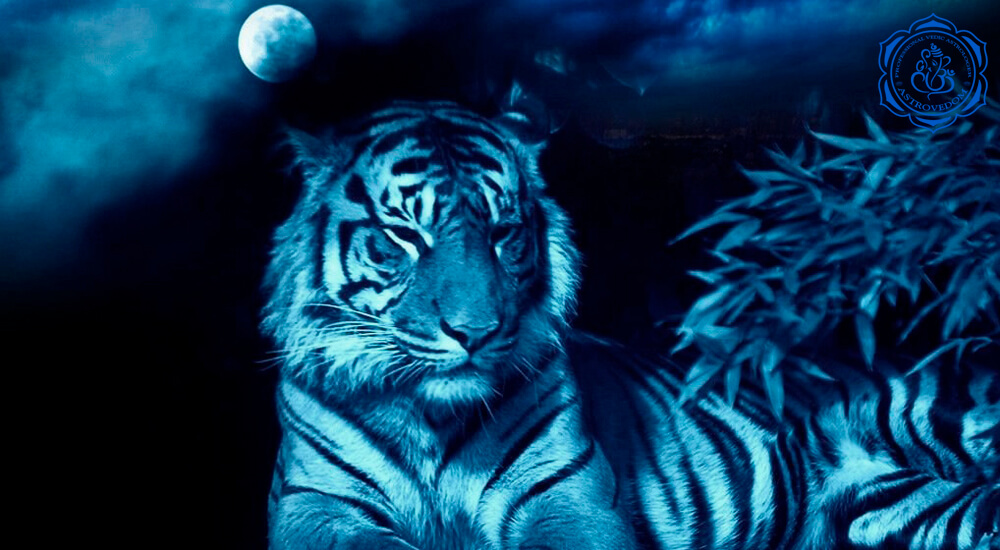 2022 Год Голубого Тигра