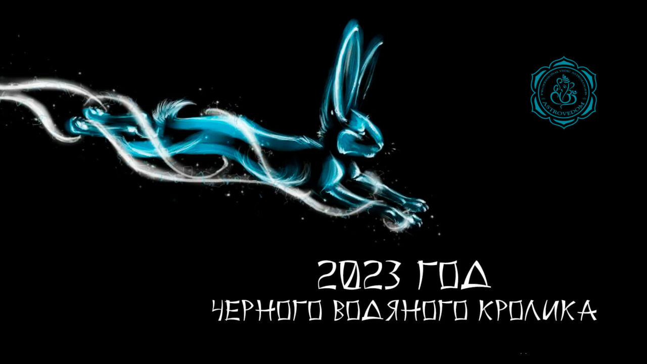 2023 Год Черного Кролика