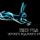 2023 Год Черного Кролика